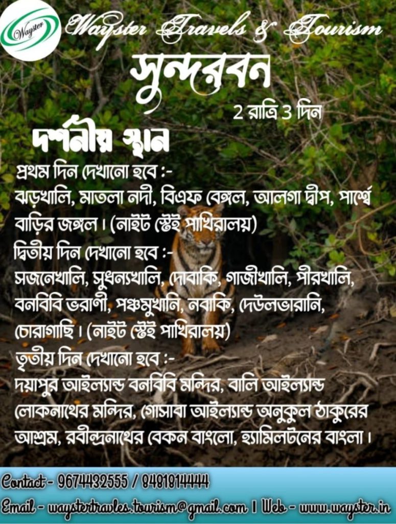 Sundarban